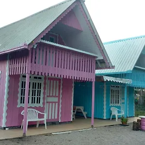 Alojamento de Turismo Selvagem Do Gravatá, Penha (Santa Catarina)